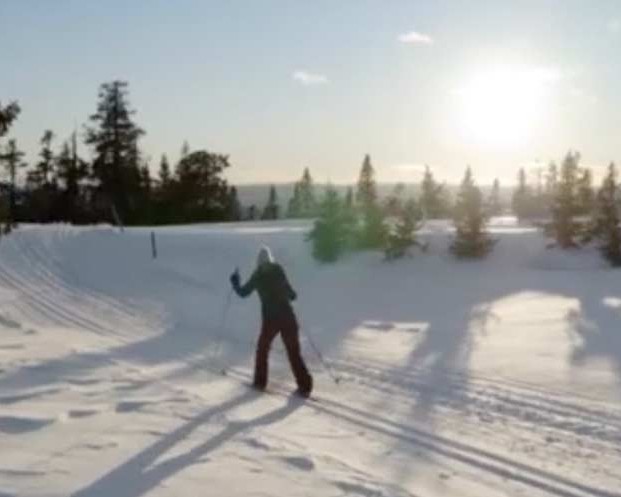 ZDF | Christmas in the Snow