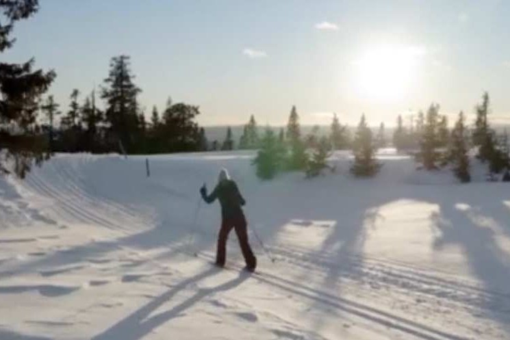 ZDF | Christmas in the Snow