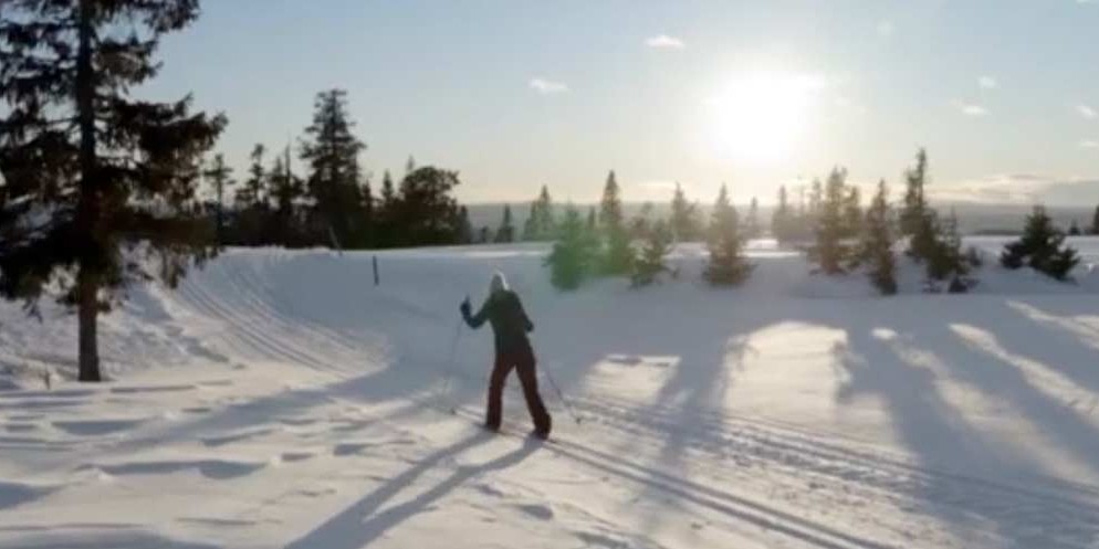 ZDF | Christmas in the Snow