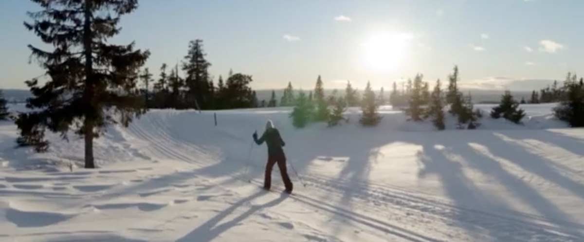 ZDF | Christmas in the Snow