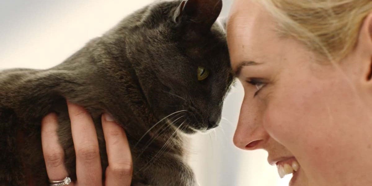 Nestlé Purina | #WeAreBetterWithPets