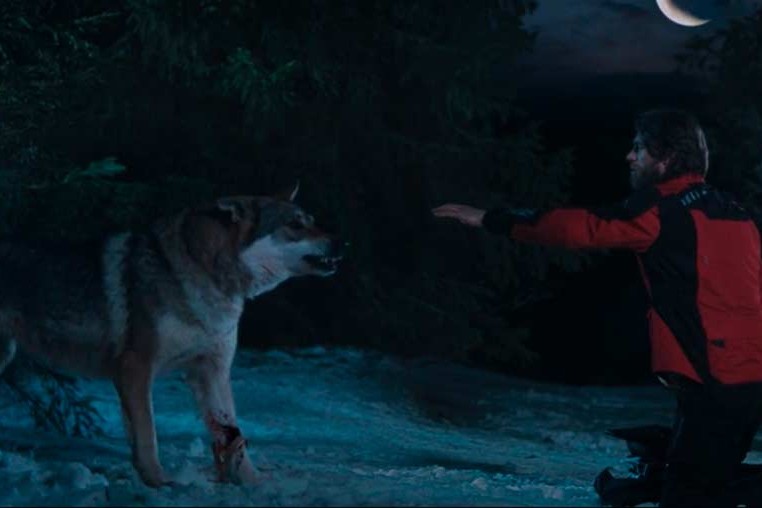 Stalinskaya | Wolf