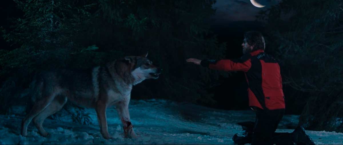 Stalinskaya | Wolf