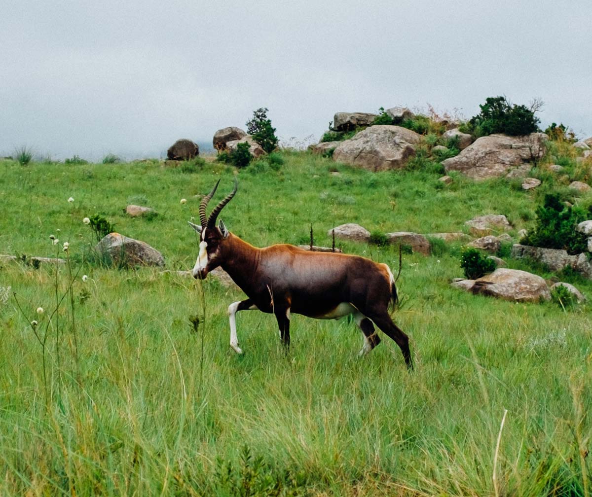 Eswatini | Location