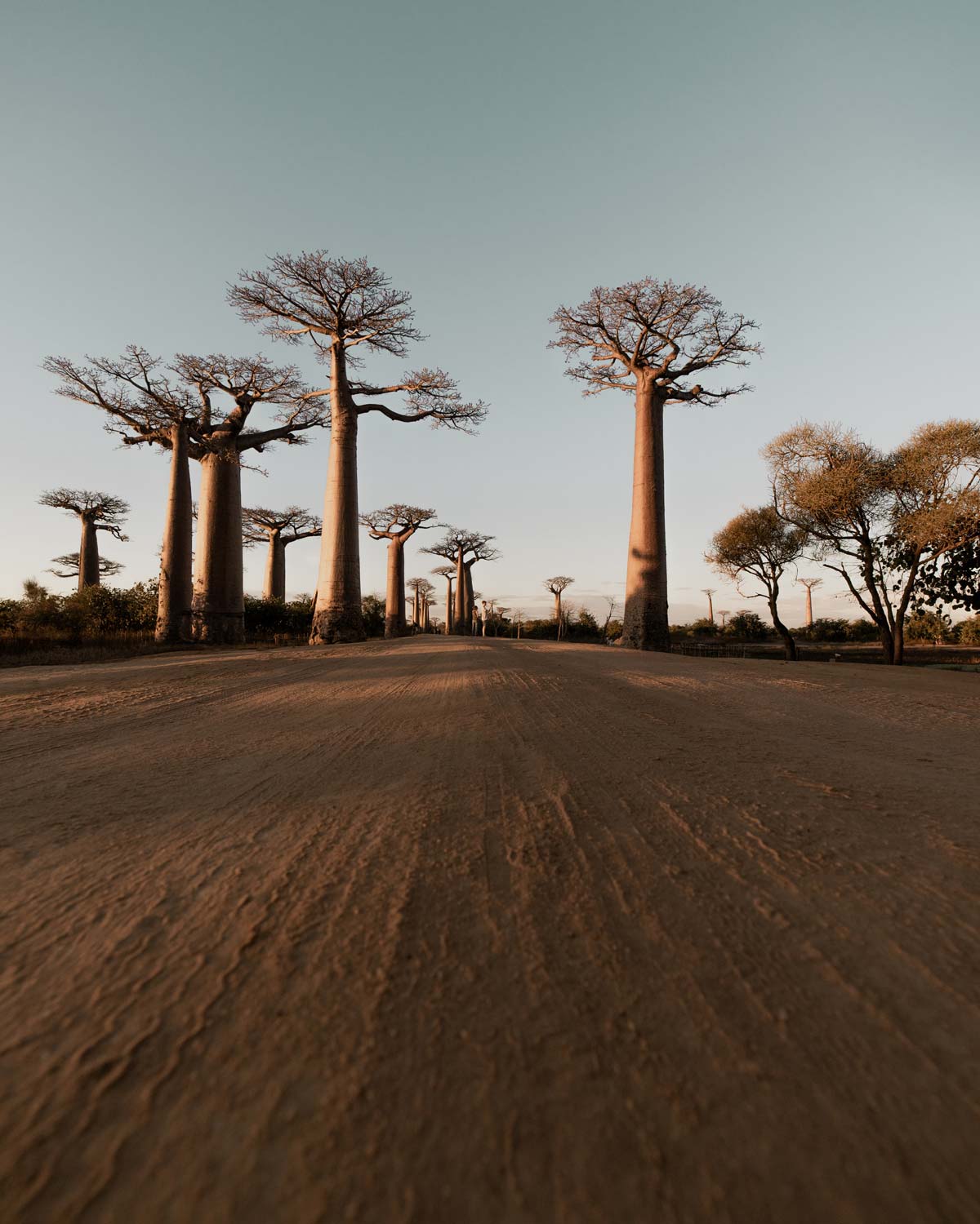 Madagascar | Location