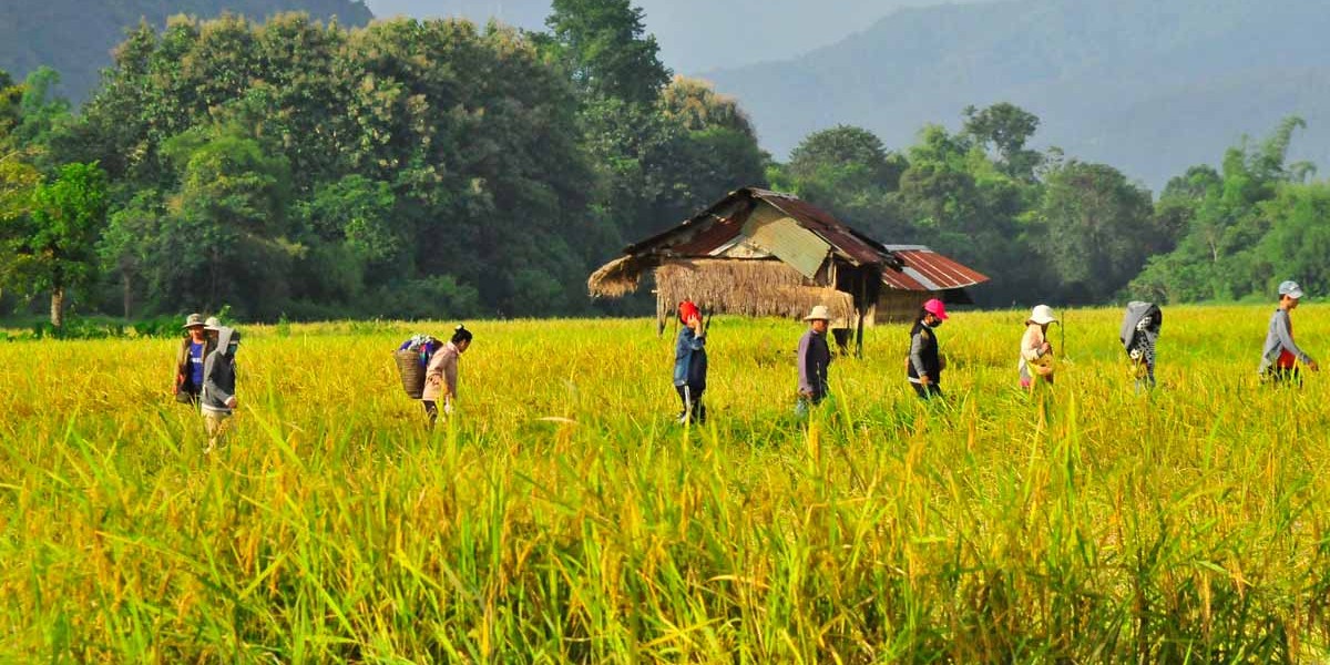 Laos | Location