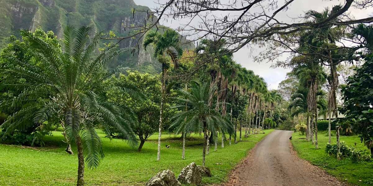 Hawaii