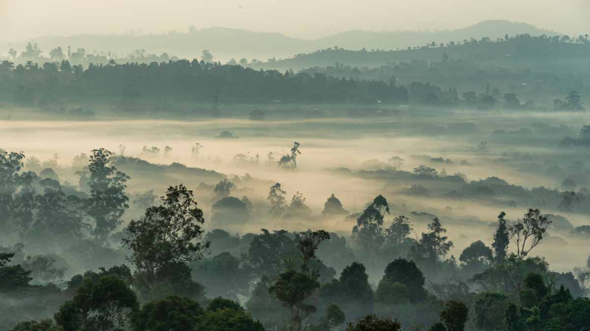 Cameroon | Location