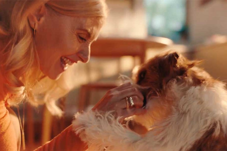 Zesty Paws | Take a Zesty Pause For All Paws