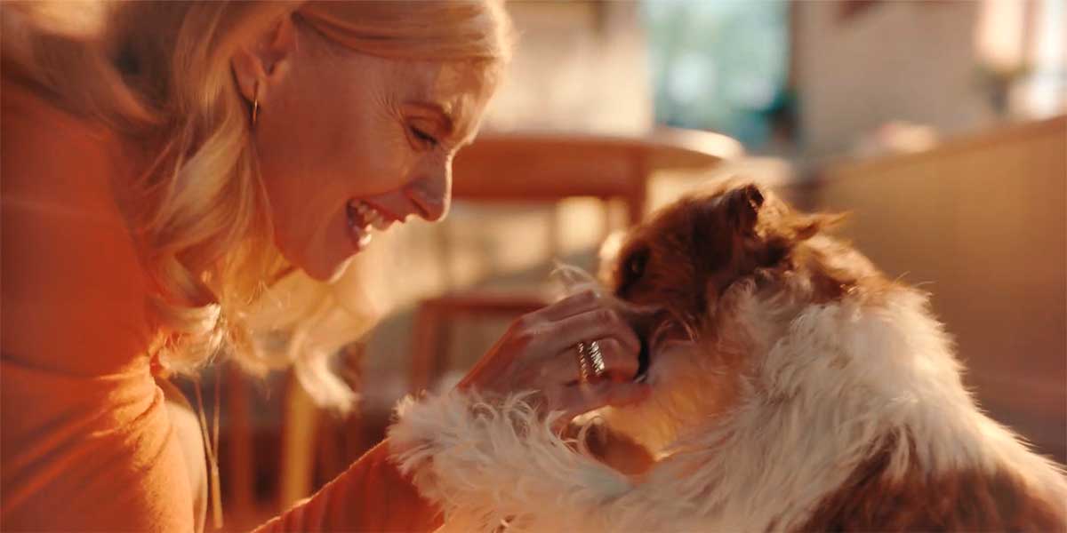 Zesty Paws | Take a Zesty Pause For All Paws