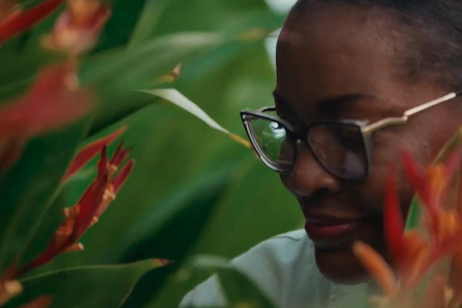 Sandals Resorts | Made in Caribbean, Feel