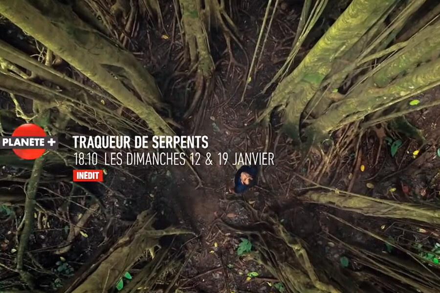 Canal Plus | Traqueur De Serpents