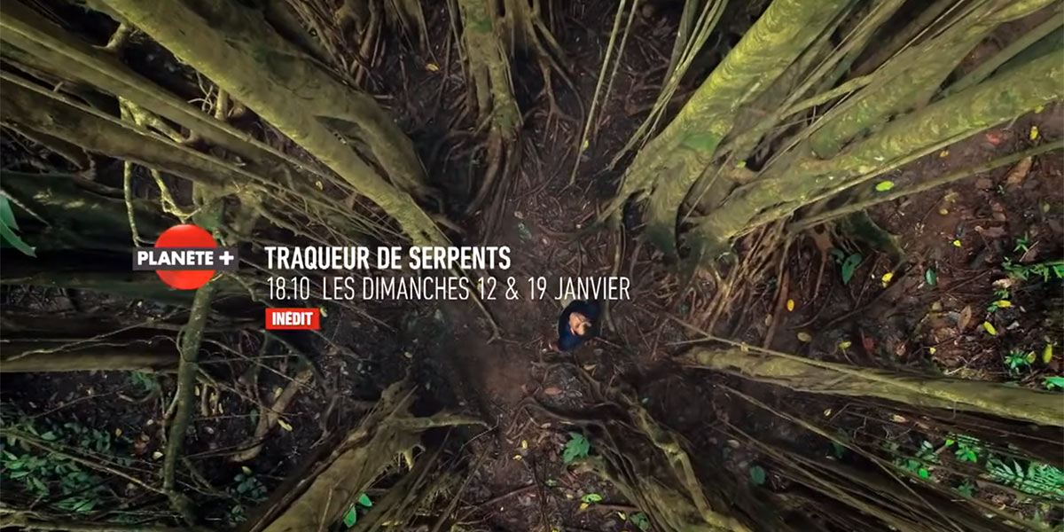 Canal Plus | Traqueur De Serpents